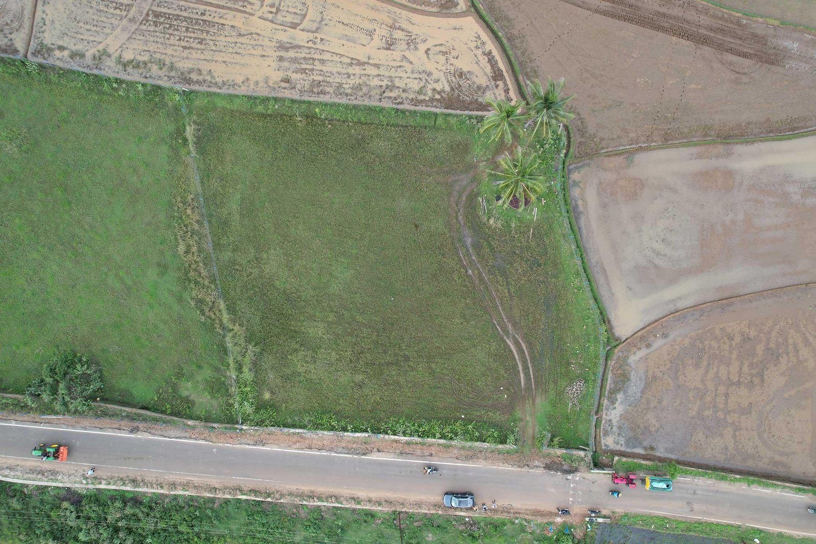 Vershina - Farm / Agriculture Land